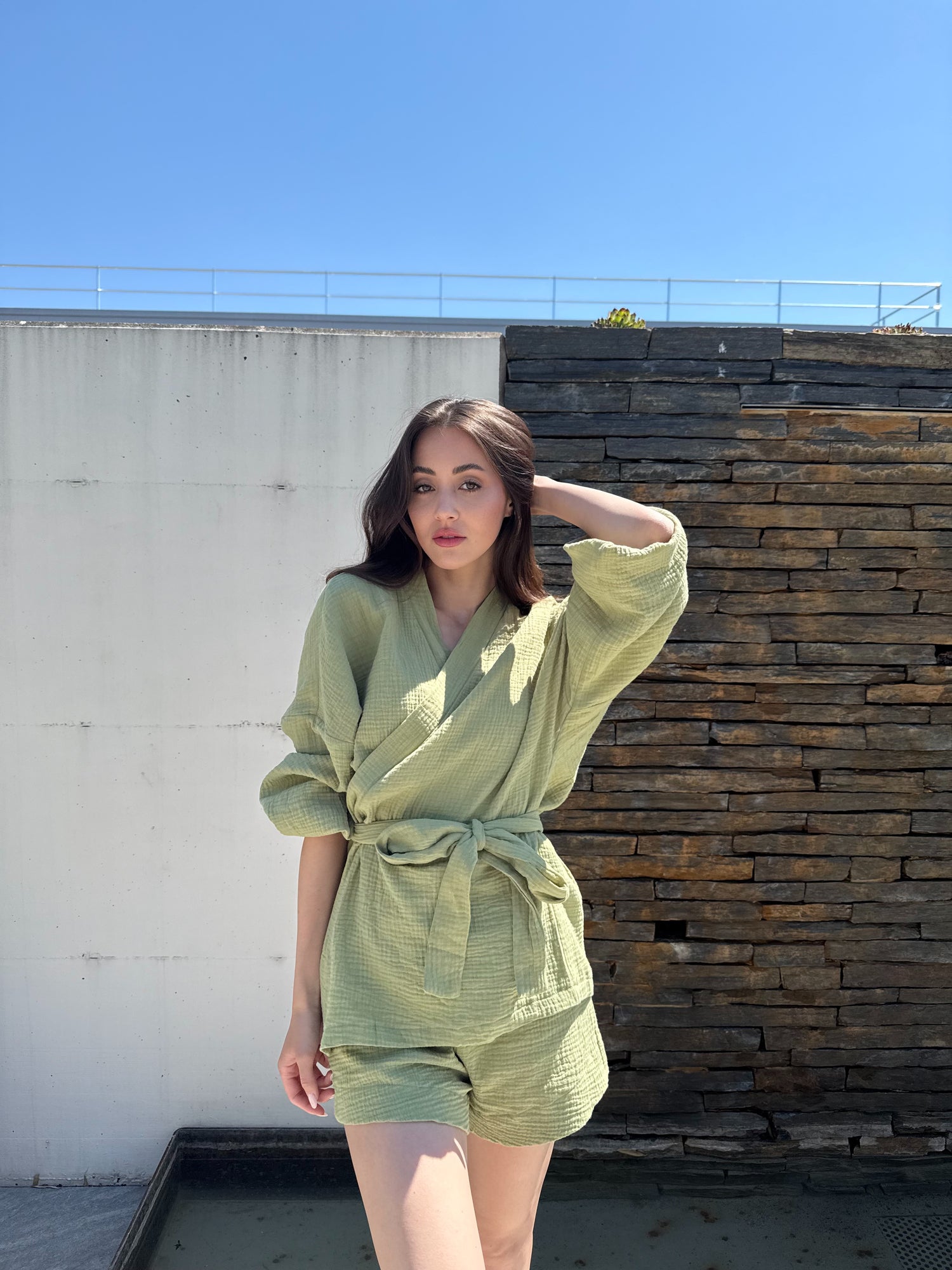 Set Arya
